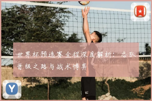 世界杯预选赛全程深度解析：各队晋级之路与战术博弈