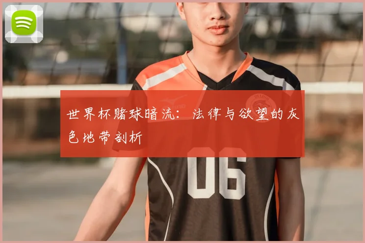 世界杯赌球暗流:法律与欲望的灰色地带剖析