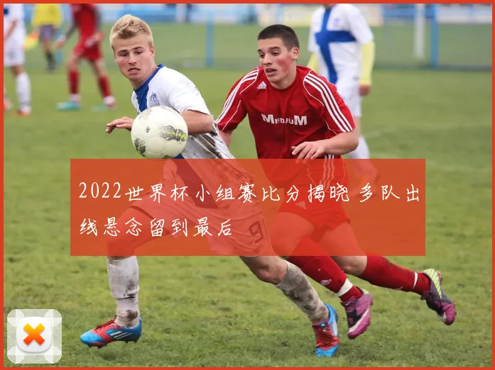 2022世界杯小组赛比分揭晓 多队出线悬念留到最后