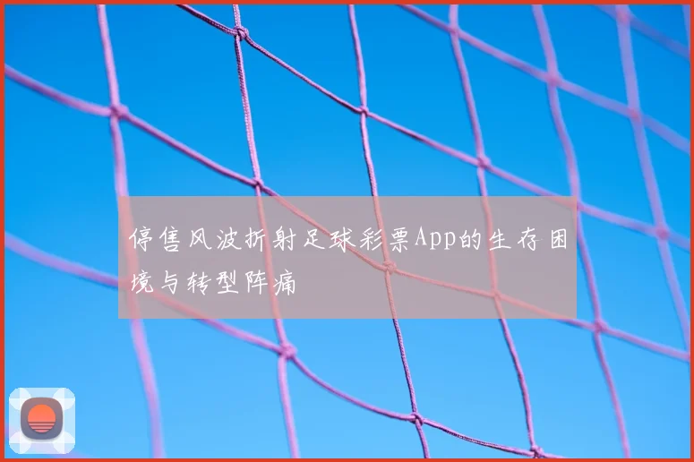 停售风波折射足球彩票App的生存困境与转型阵痛