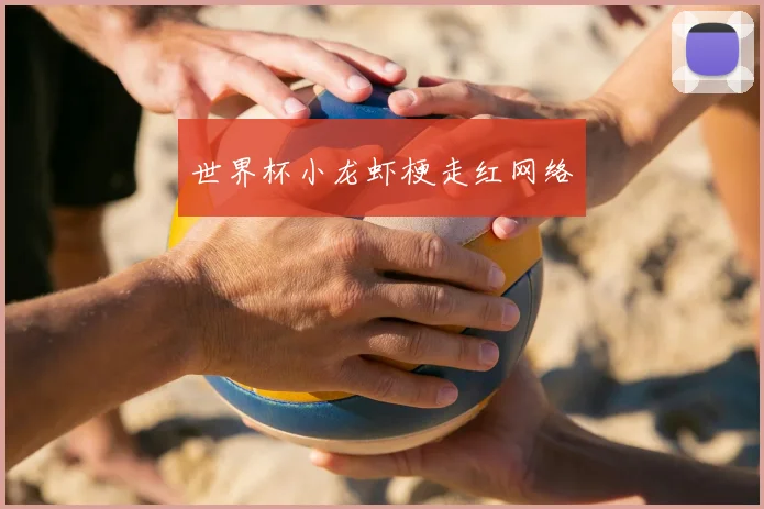 世界杯小龙虾梗走红网络