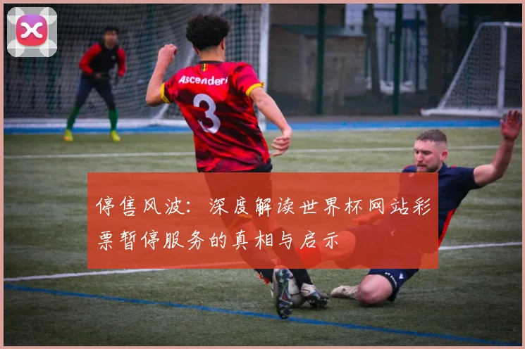停售风波：深度解读世界杯网站彩票暂停服务的真相与启示