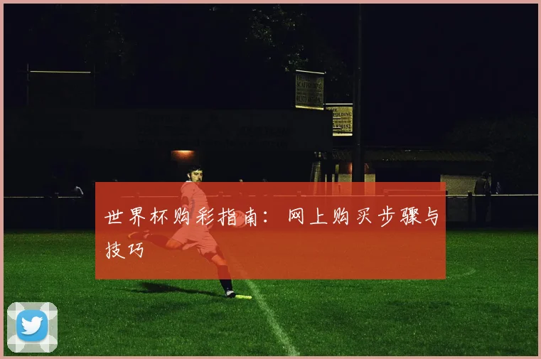 世界杯购彩指南：网上购买步骤与技巧