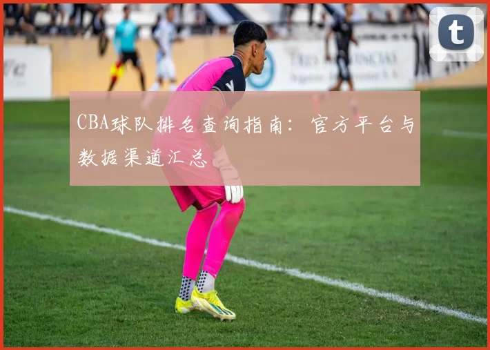 CBA球队排名查询指南：官方平台与数据渠道汇总