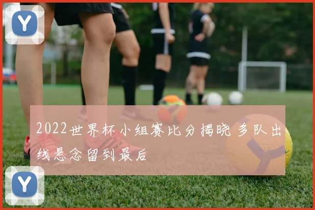 2022世界杯小组赛比分揭晓 多队出线悬念留到最后