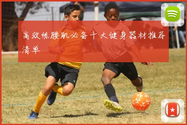 高效练腰肌必备十大健身器材推荐清单